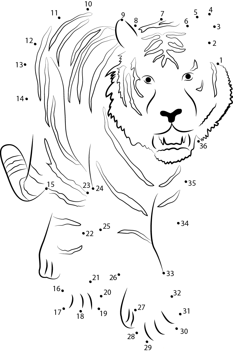 Tiger Walking Towards printable dot to dot worksheet