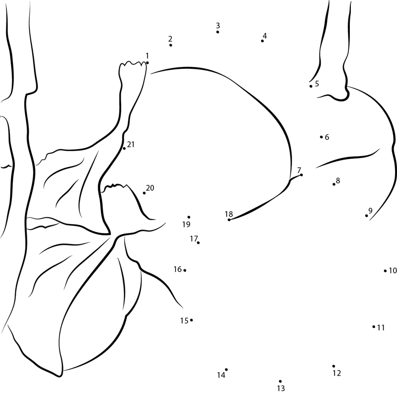 Apricot Royal printable dot to dot worksheet