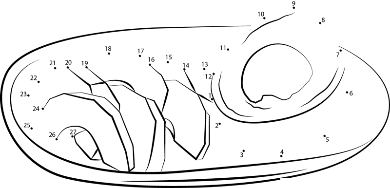 Avocado Cut In Plate dot to dot worksheets