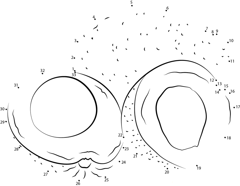 Avocado Whole And Cross Section printable dot to dot worksheet