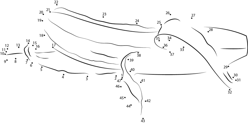 Banana Amazing Fruit And Cure dot to dot worksheets