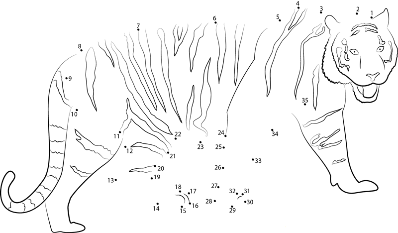 Walking Tiger dot to dot worksheets