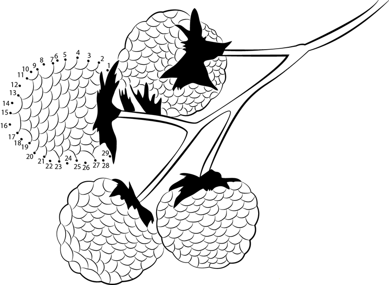 Berries printable dot to dot worksheet