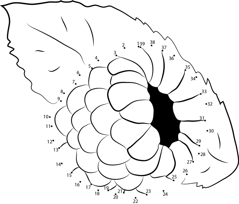 Berries Show Heart Boosting dot to dot worksheets