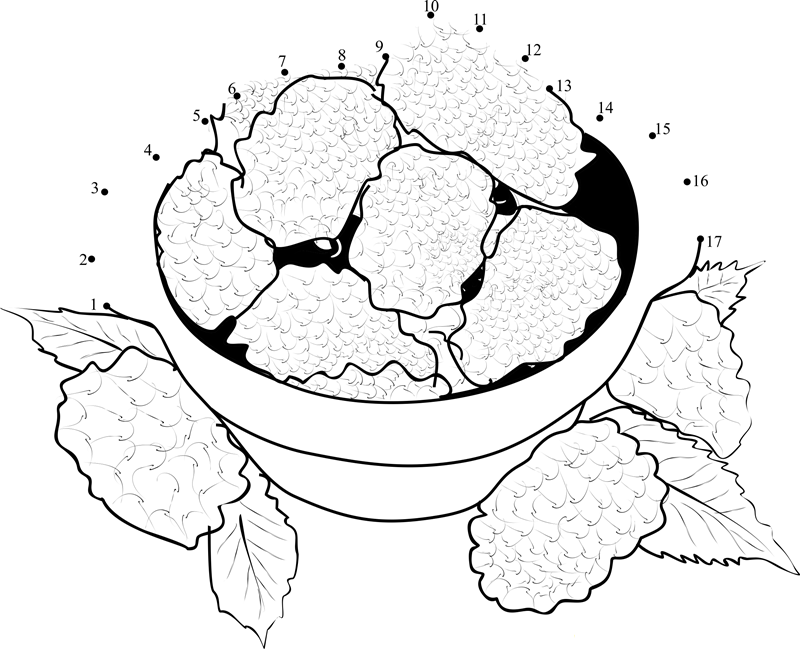 Black Berries In A Bowl dot to dot worksheets