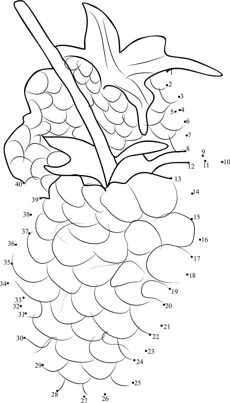 Blackberry dot to dot worksheets