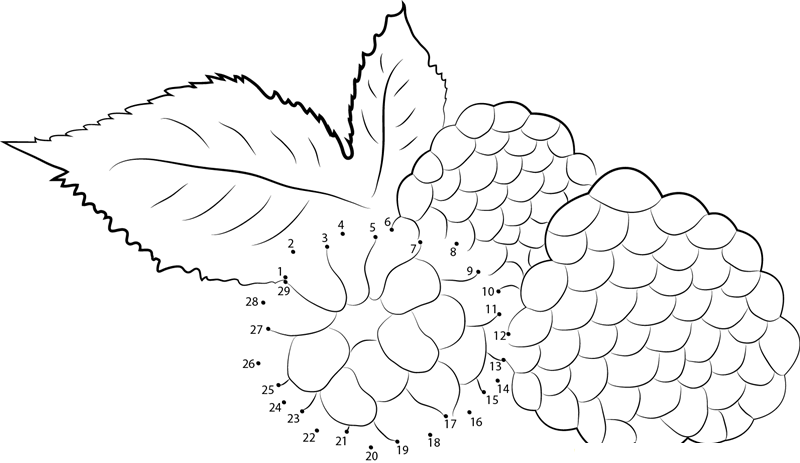 Blackberry Ewgfo dot to dot worksheets