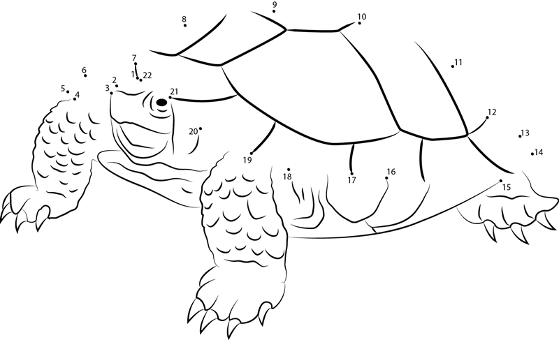 Angry Turtle printable dot to dot worksheet