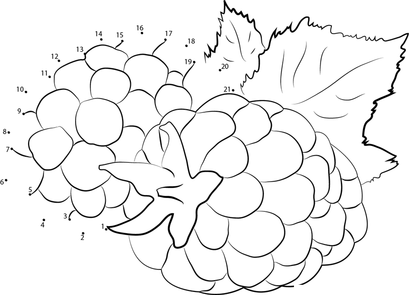 Sweet Barries printable dot to dot worksheet