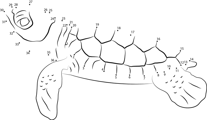 Baby At Turtle printable dot to dot worksheet