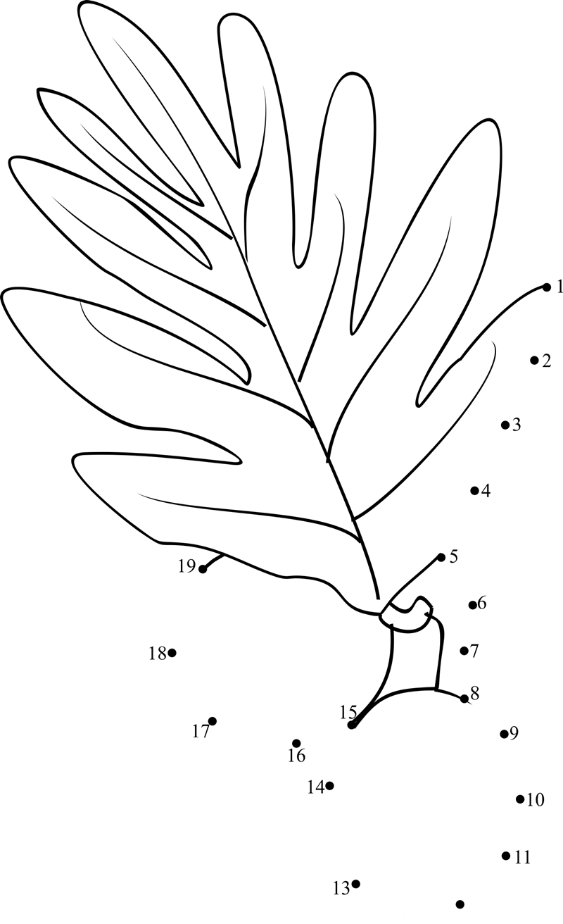 Breadfruit printable dot to dot worksheet