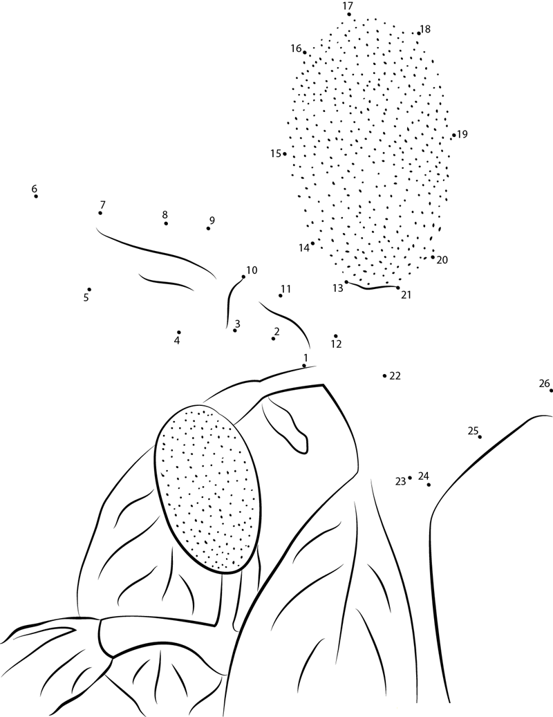 Jack Fruit Female Flower printable dot to dot worksheet