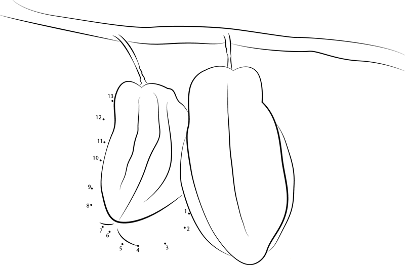 Carambola On Tree printable dot to dot worksheet