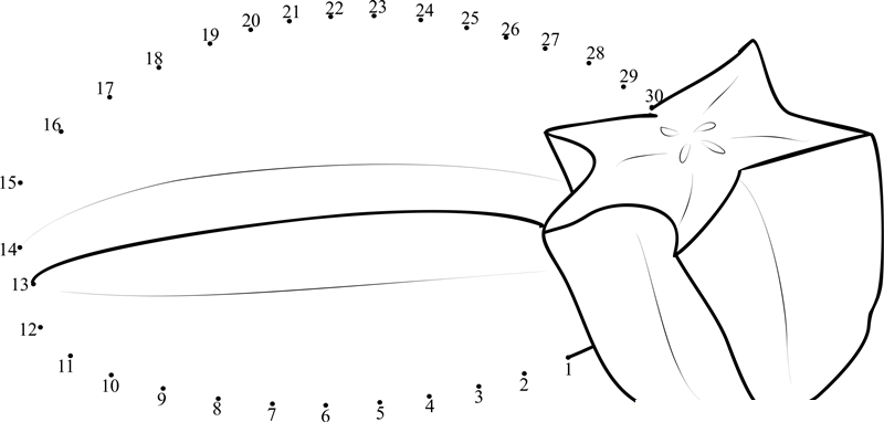 Star Fruit Cut Half printable dot to dot worksheet