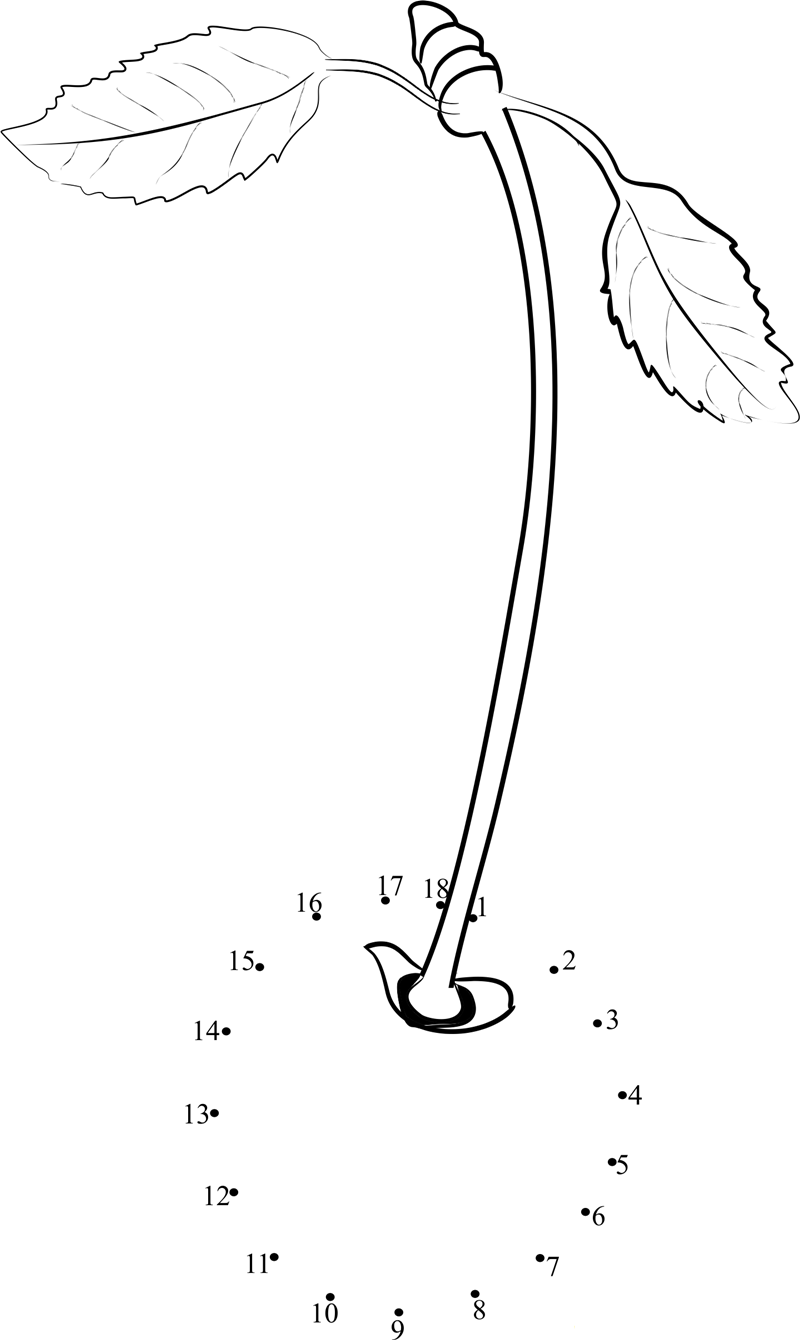 A Single Cherry printable dot to dot worksheet