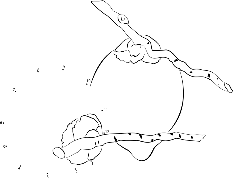 Green Coconut Dab printable dot to dot worksheet