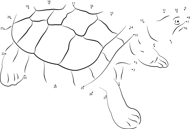 Burmese Roofed Turtle printable dot to dot worksheet