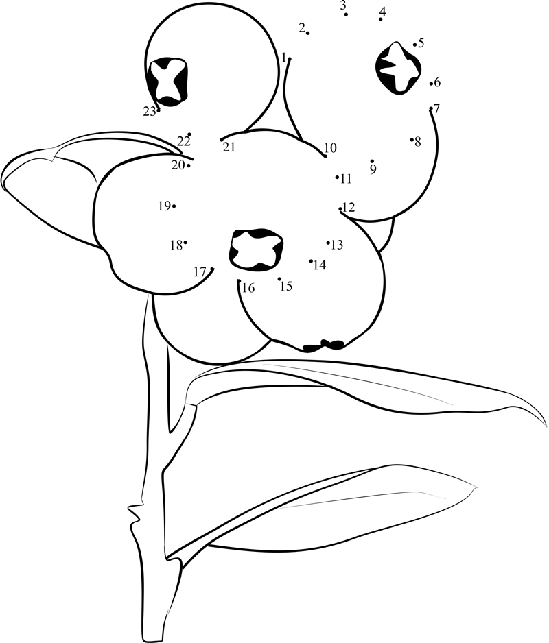 Cranberries printable dot to dot worksheet