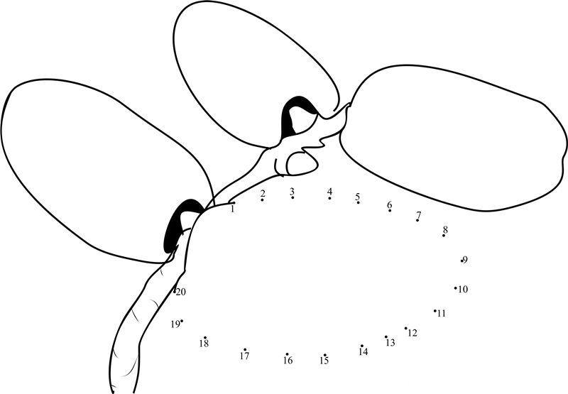 Dates printable dot to dot worksheet