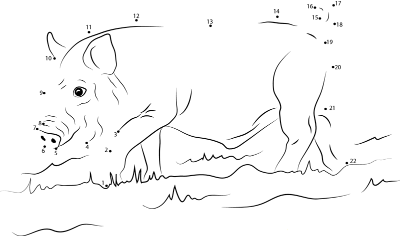 Young Wild Boar dot to dot worksheets