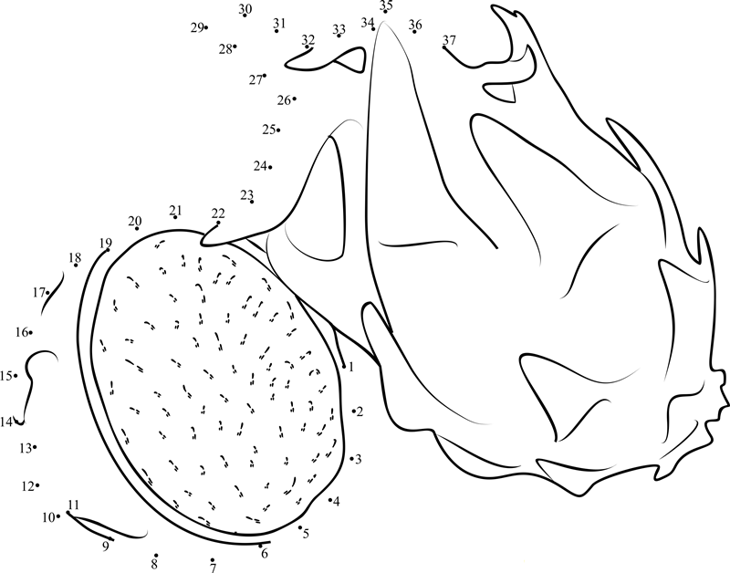 Dragon Fuit Cuthalf printable dot to dot worksheet