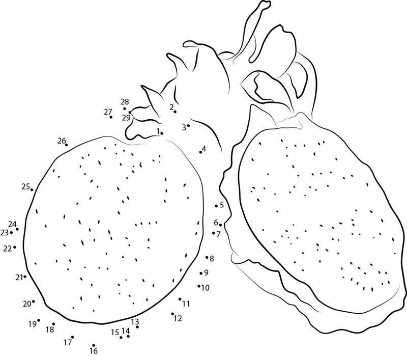 Makisupa Dragon Fruit printable dot to dot worksheet