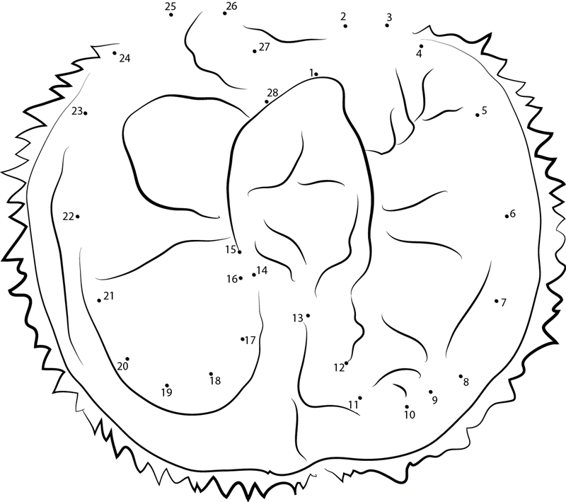 Delicious Durian printable dot to dot worksheet