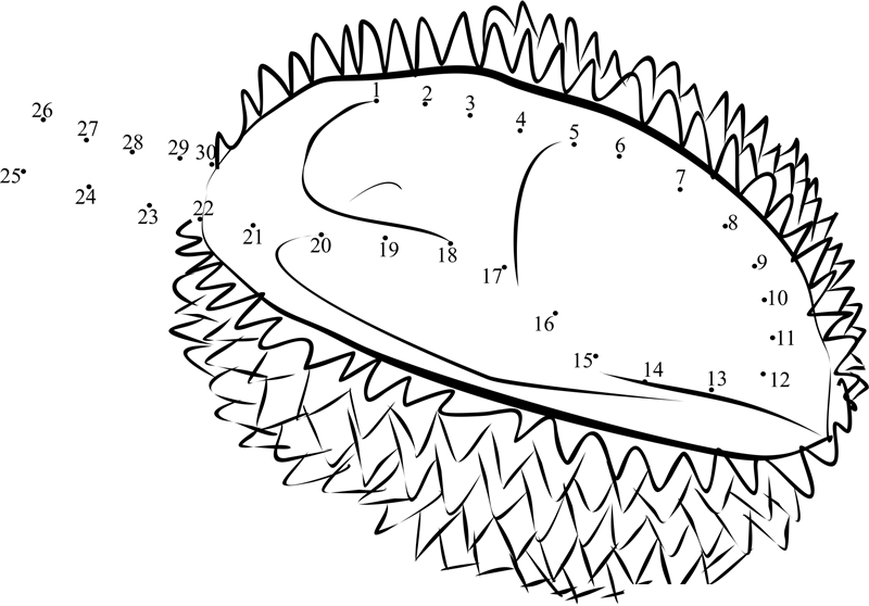 Durian Fruit printable dot to dot worksheet