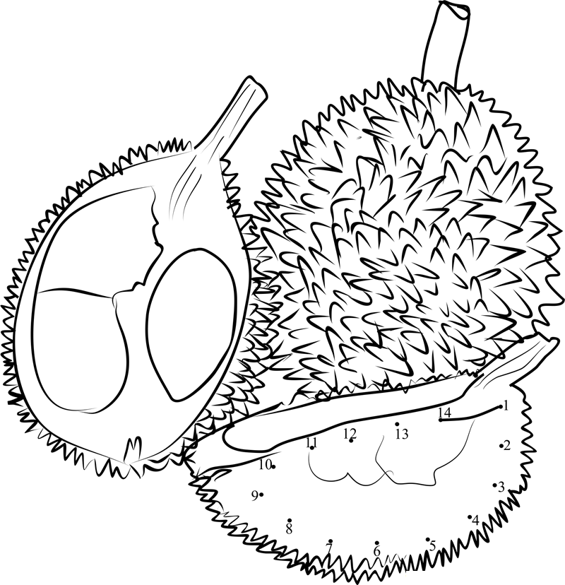 Durian Fruits Sliced printable dot to dot worksheet