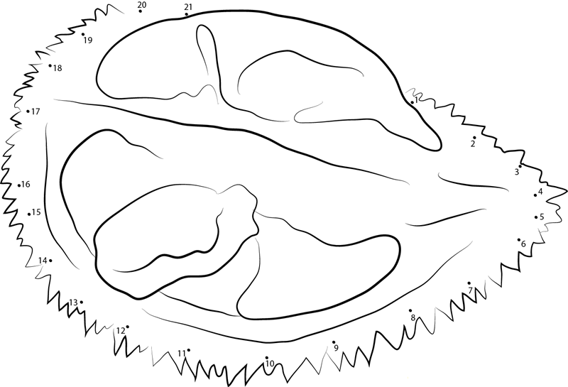 Durian Pulp printable dot to dot worksheet