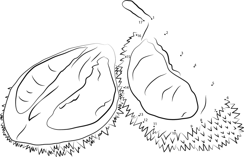 Random Stock Durian printable dot to dot worksheet