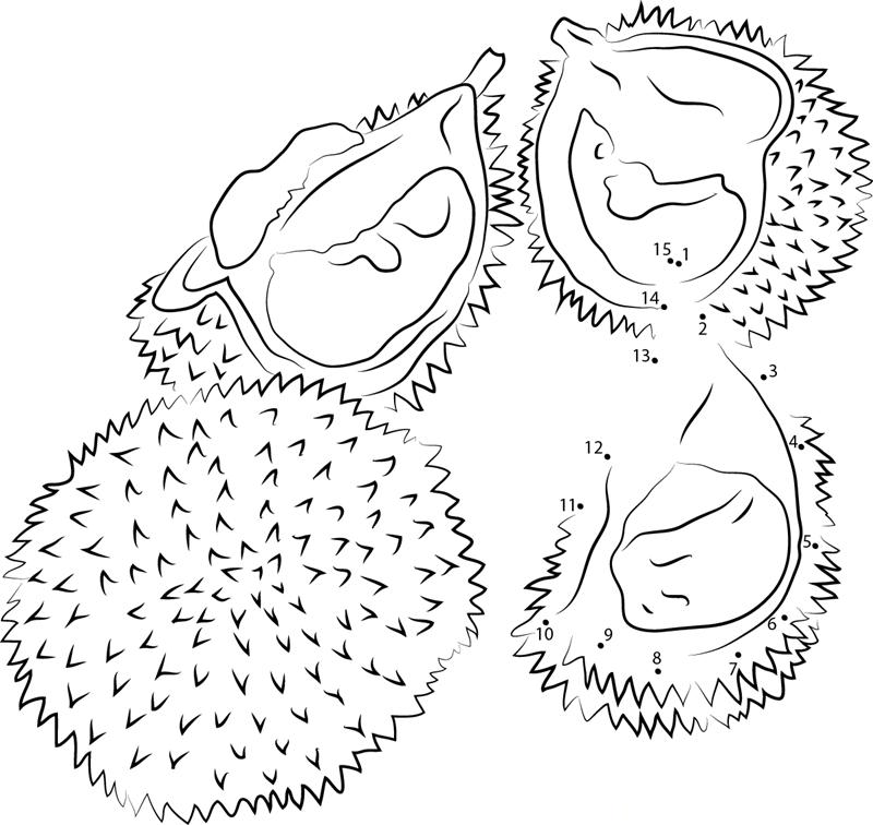 Red Durian printable dot to dot worksheet