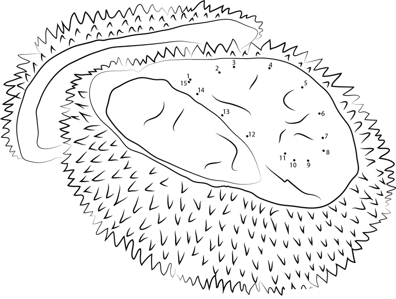 Singapore Durian printable dot to dot worksheet