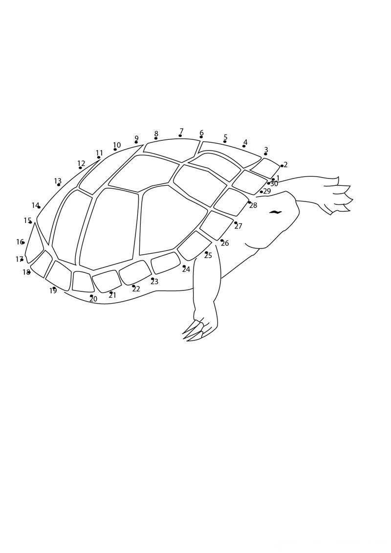 Flying Turtle printable dot to dot worksheet