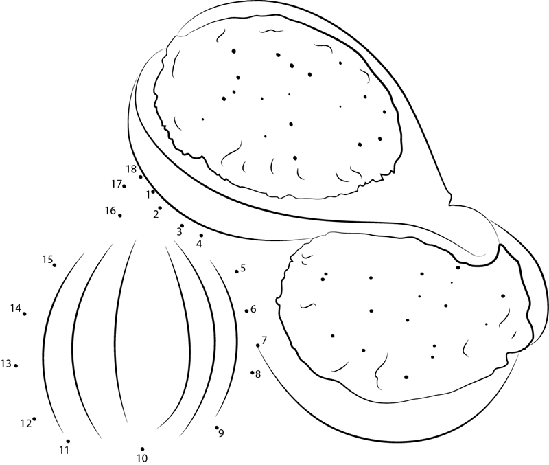 Figs Bernard Jaubert printable dot to dot worksheet