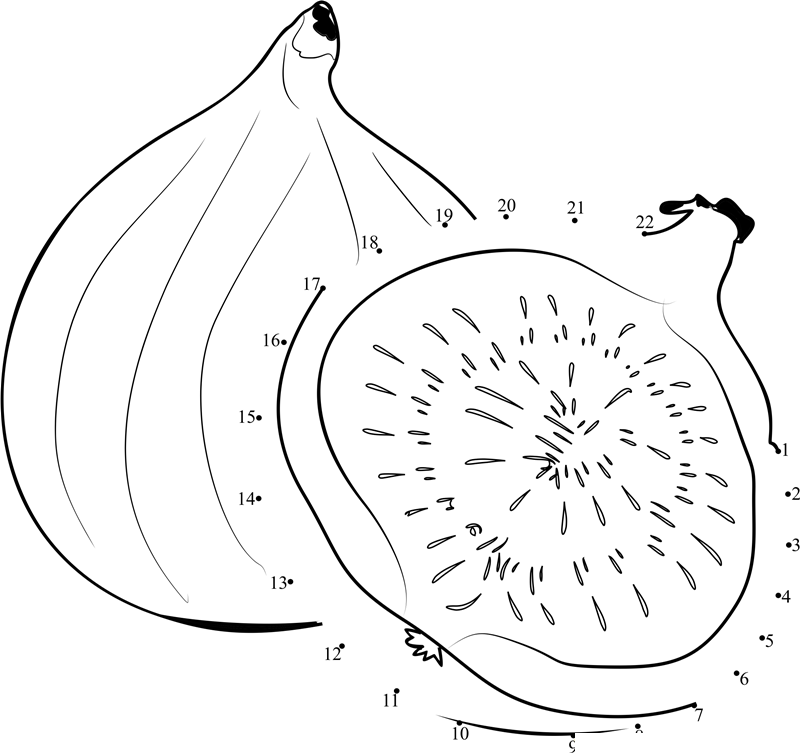 Sliced Fig printable dot to dot worksheet