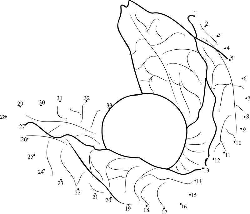 Gooseberry printable dot to dot worksheet