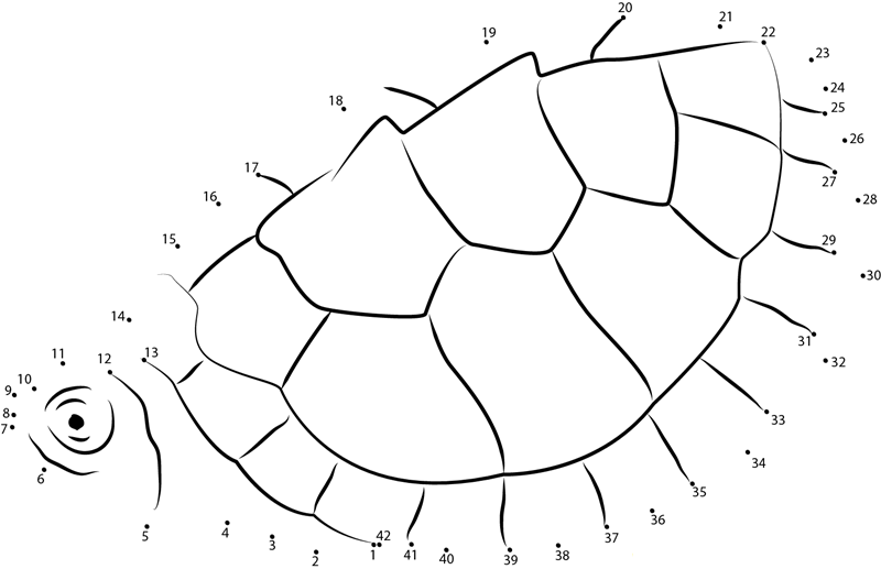 Graptemys Ernsti dot to dot worksheets