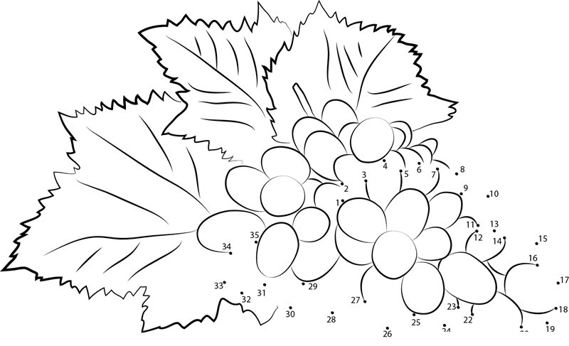 Black Grapes printable dot to dot worksheet