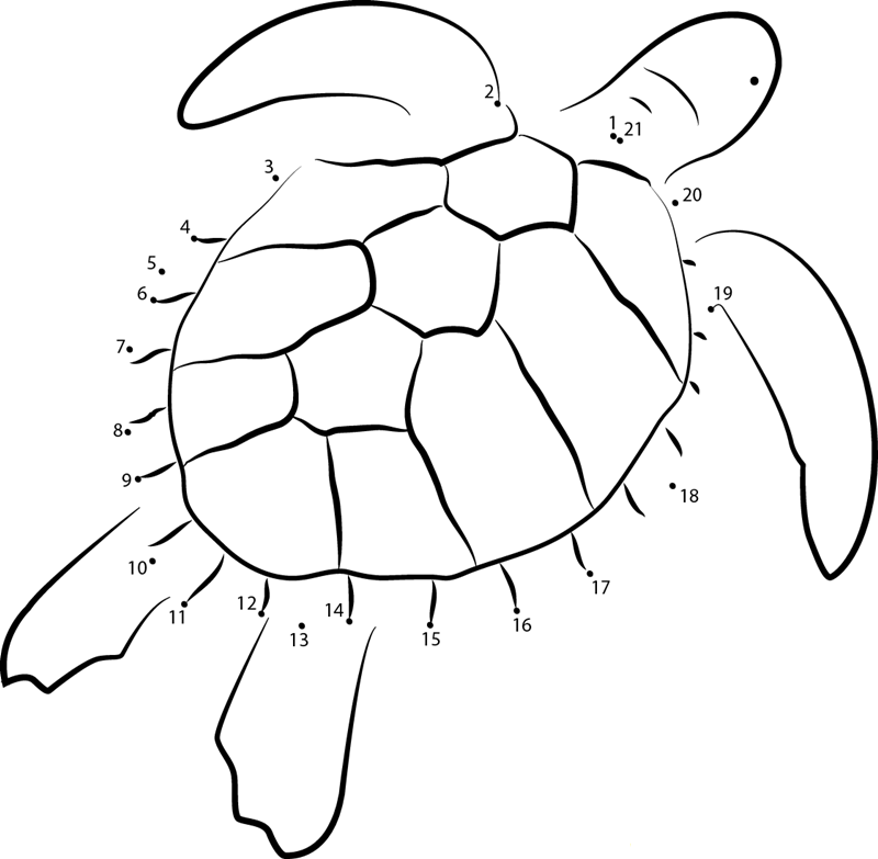 Green Sea Turtle dot to dot worksheets