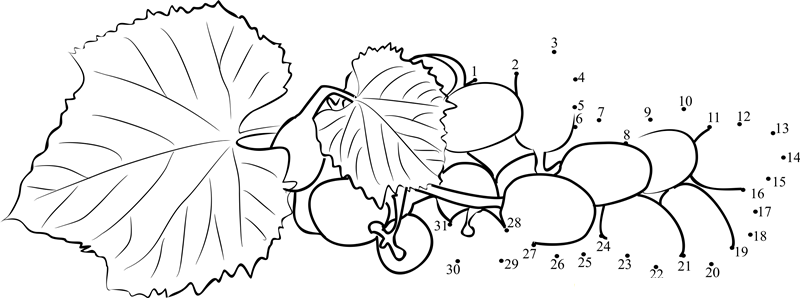 Grape With Leaf printable dot to dot worksheet