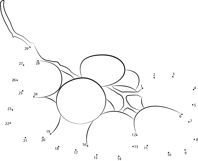 Grapes On Plate printable dot to dot worksheet