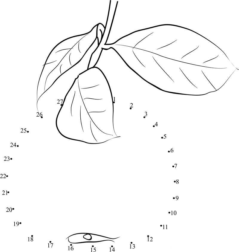 Grapefruit printable dot to dot worksheet