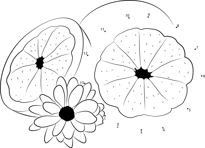 Grapefruit With Flower printable dot to dot worksheet