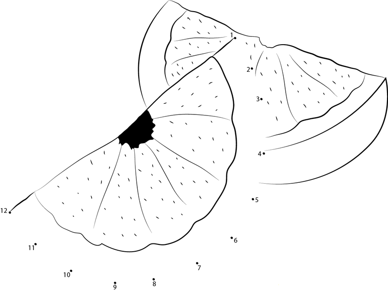 Tasty Grapefruit dot to dot worksheets