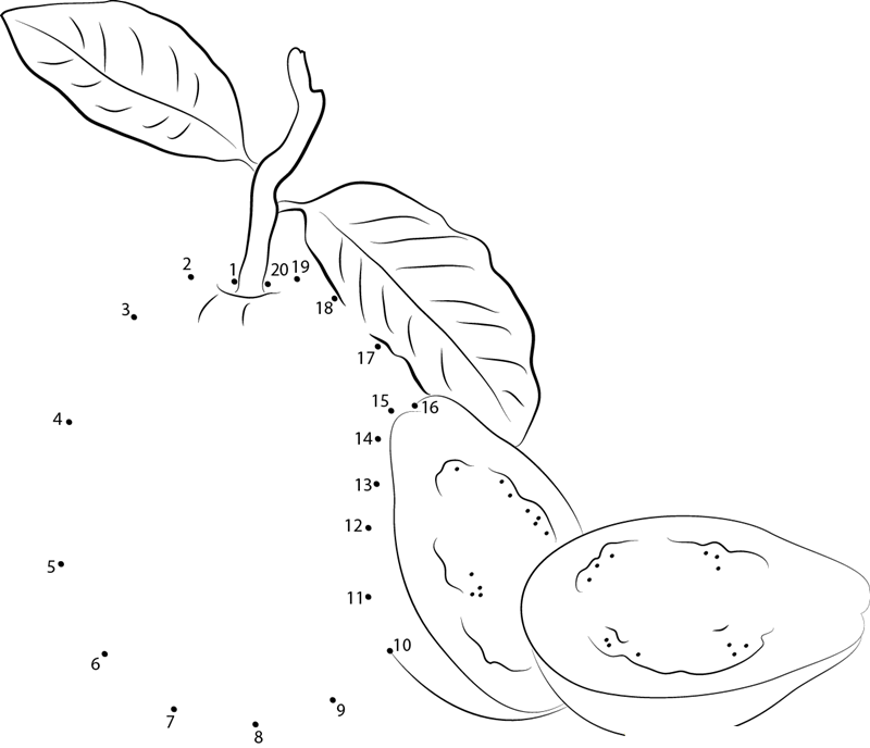 Delicious Guava Fruit printable dot to dot worksheet