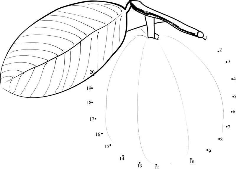 Guava With Leaf printable dot to dot worksheet