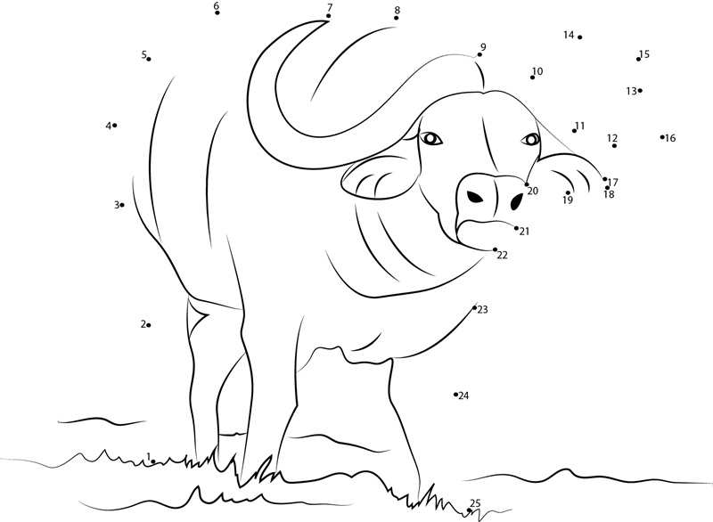 African Buffalo printable dot to dot worksheet