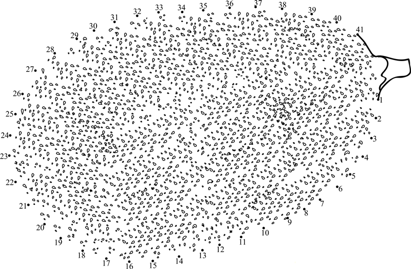 Jackfruit printable dot to dot worksheet