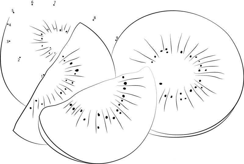 Closeup View Of Fuzzy Kiwi Fruit printable dot to dot worksheet